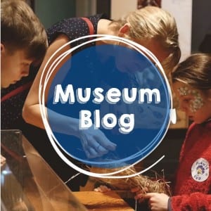 Museum Blog