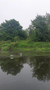 bubbles 2