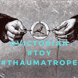 thaumatrope