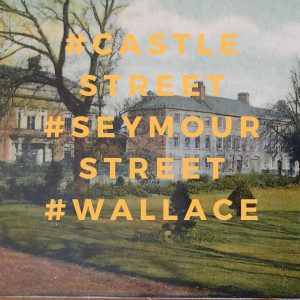 lisburn streetscape castle gardens