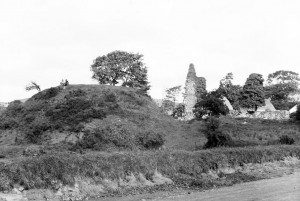 Castle Robin - Lisburn