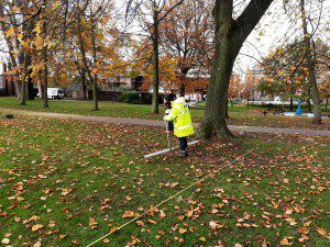 Geohphysical Survey in Castle Gardens November 2020