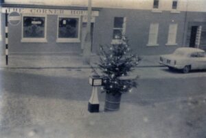 Christmas tree - photo