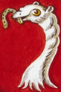 Wallace ostrich - photo